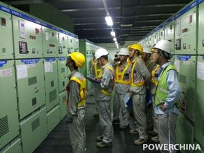 卡西姆港燃煤電站2號機(jī)組廠用電倒送電一次成功