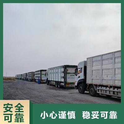 滁州與湖州長(zhǎng)興 生豬運(yùn)輸合作的繁榮紐帶