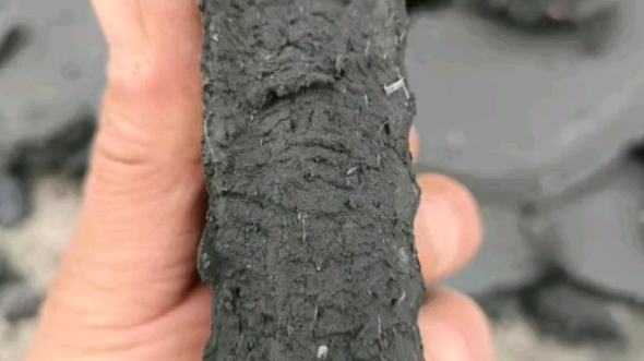 污泥處理與資源化解決方案 設(shè)備、技術(shù)與市場應(yīng)用